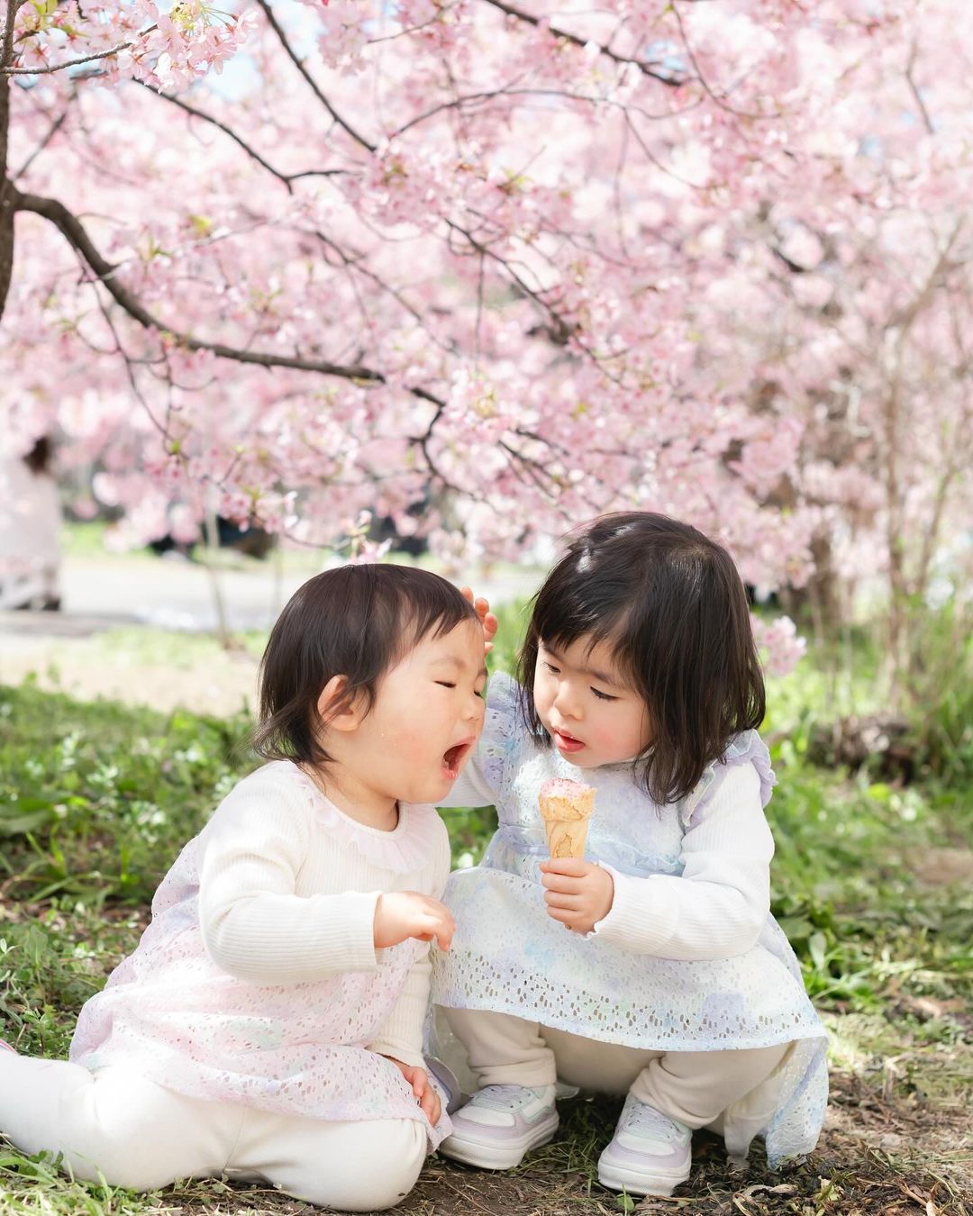 京都瑰寶:與攝影師Misa捕捉永恆家庭回憶