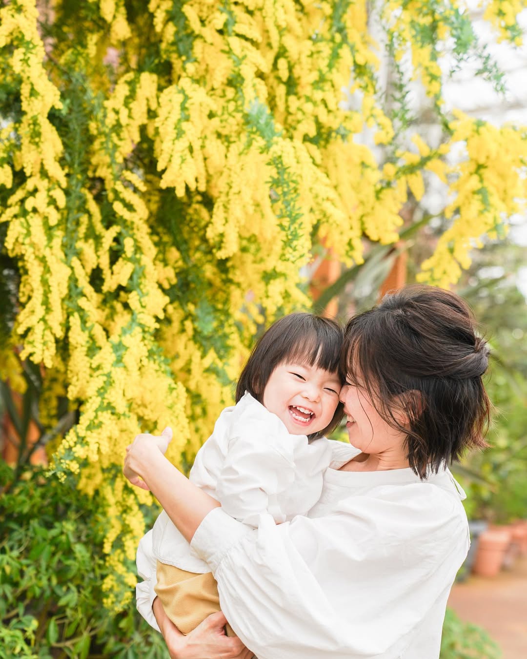 富良野花海全家福:Kiho鏡頭下的溫馨回憶