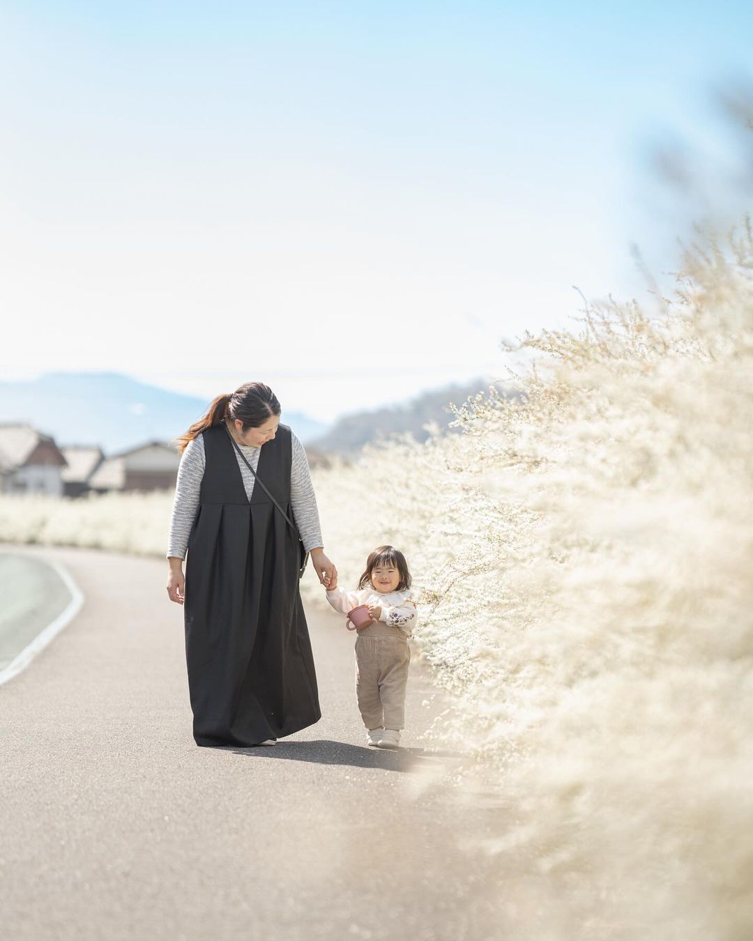 長崎花季拍攝 | 家庭攝影師 Noppo