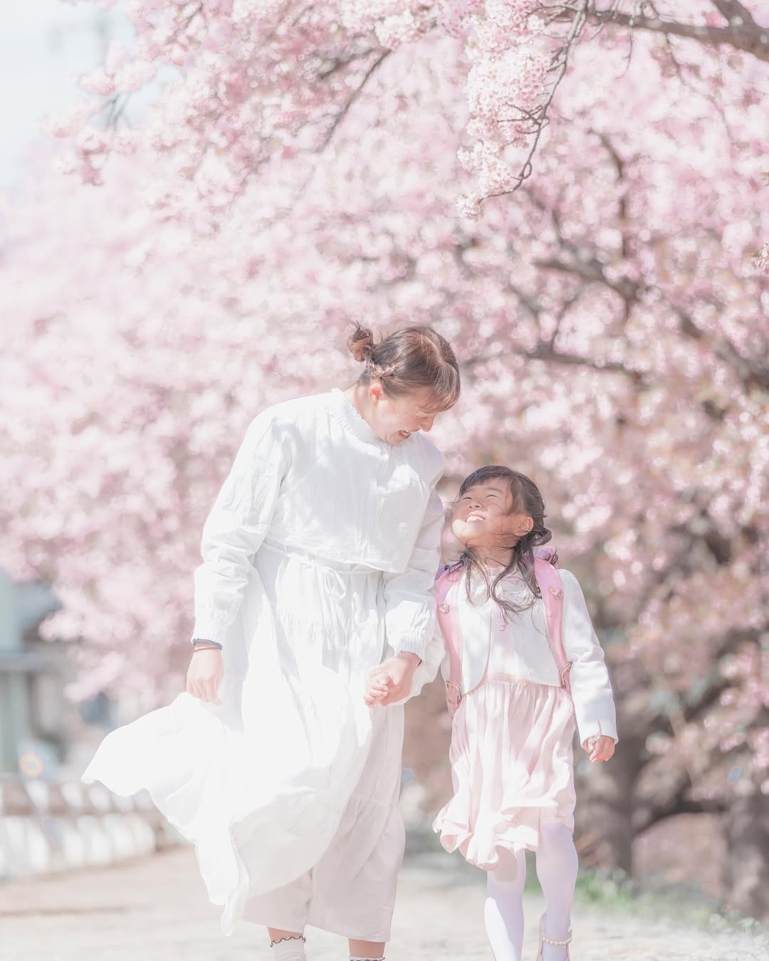 櫻花樹下的溫暖擁抱:Yohei 為你家記錄名古屋的幸福時光