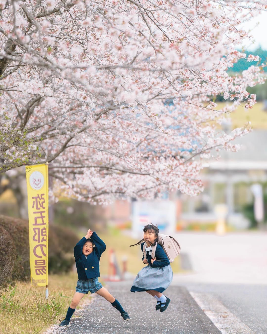 鹿兒島家族旅行:與Sho一起捕捉愛的瞬間