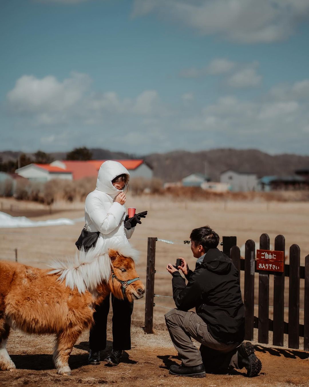北海道的驚喜求婚: Hin 兩小時浪漫農場攝影體驗
