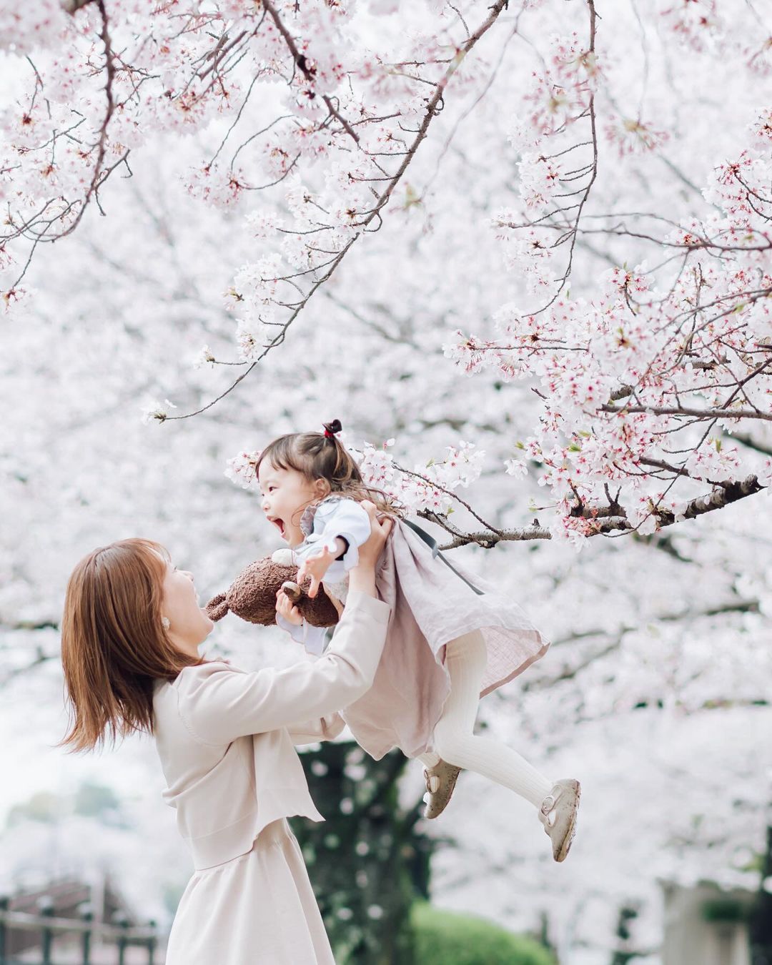 大分櫻花美景,Toko鏡頭下的全家福