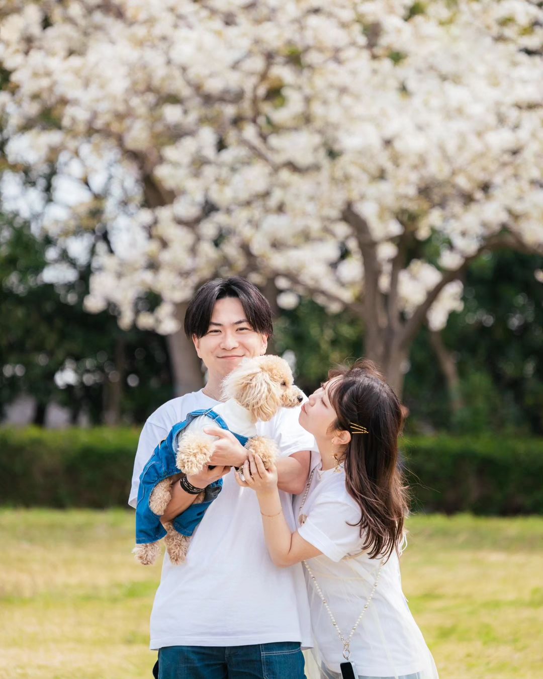 大阪寵物攝影:與Mayu共同捕捉家庭的美好瞬間