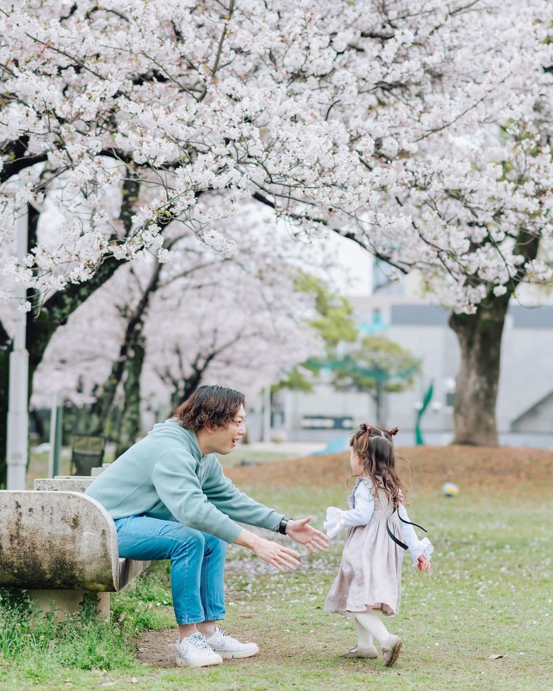 大分櫻花美景,Toko鏡頭下的全家福