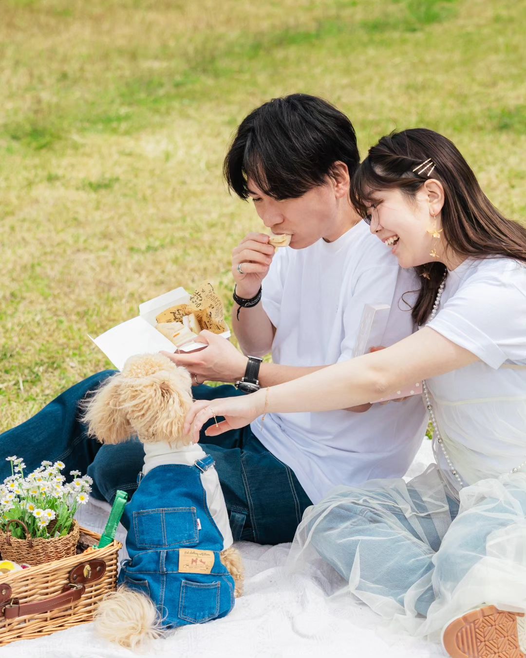 大阪寵物攝影:與Mayu共同捕捉家庭的美好瞬間