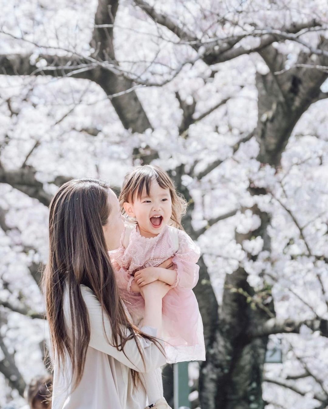 大分櫻花美景,Toko鏡頭下的全家福