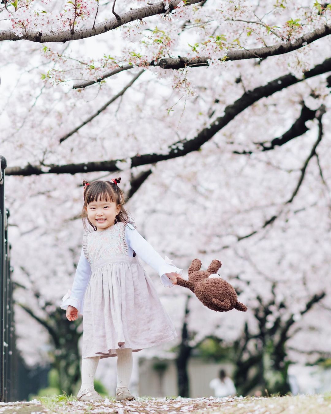 大分櫻花美景,Toko鏡頭下的全家福