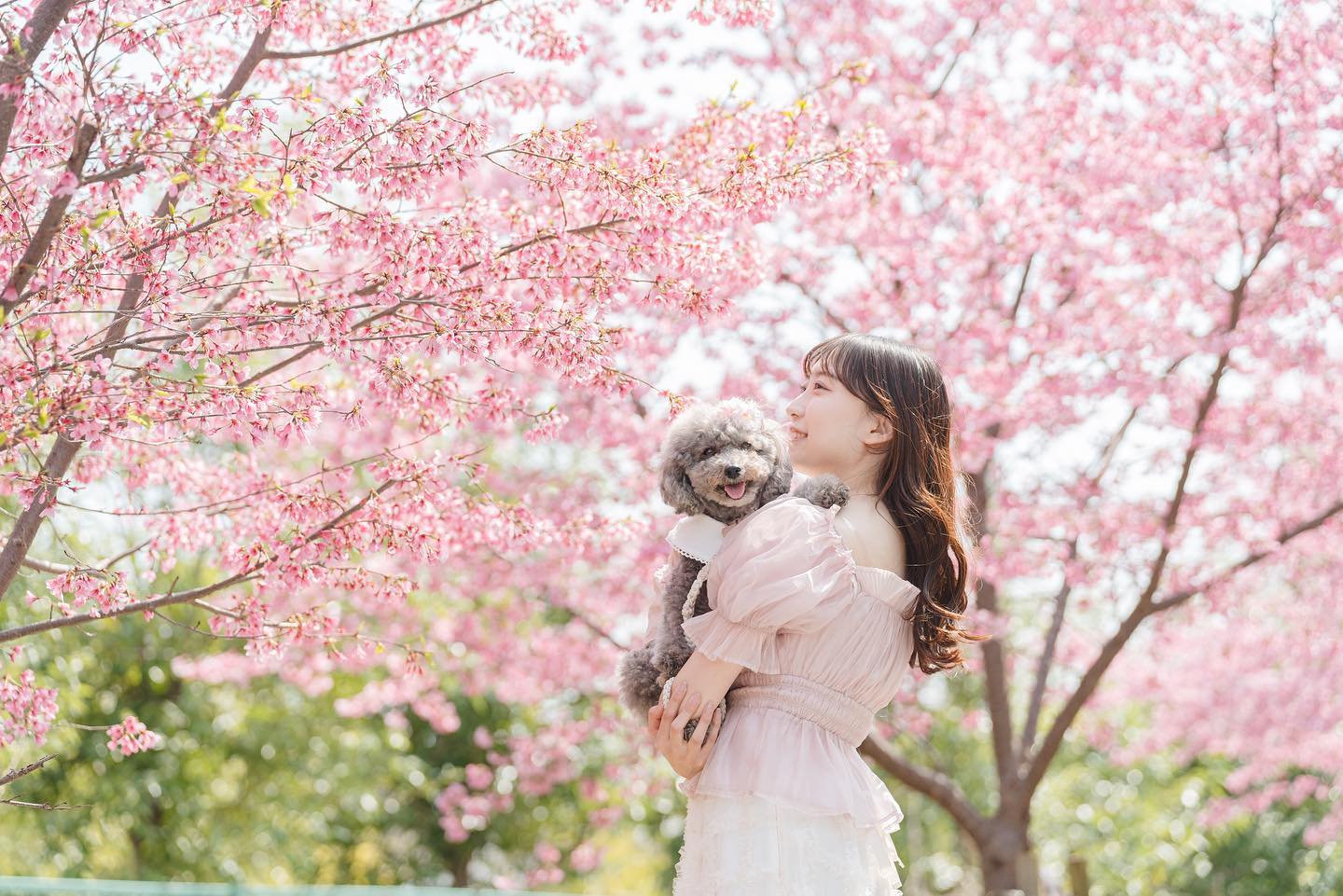 動物護理出身的Chika 在東京捕捉溫馨寵物時光