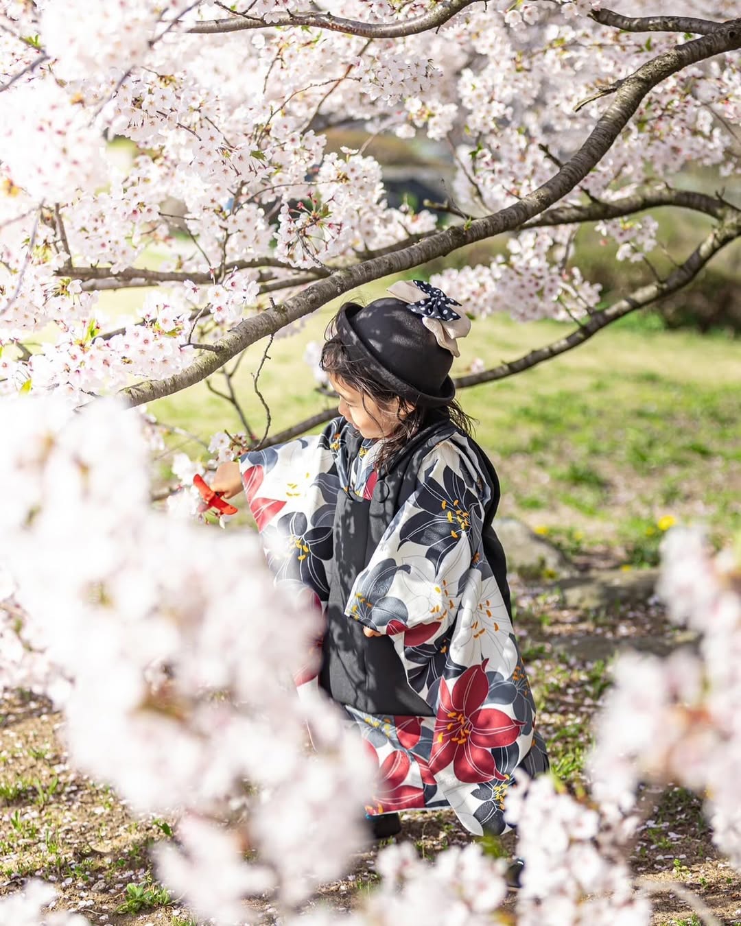 金澤親子照,Maho給你最美回憶!