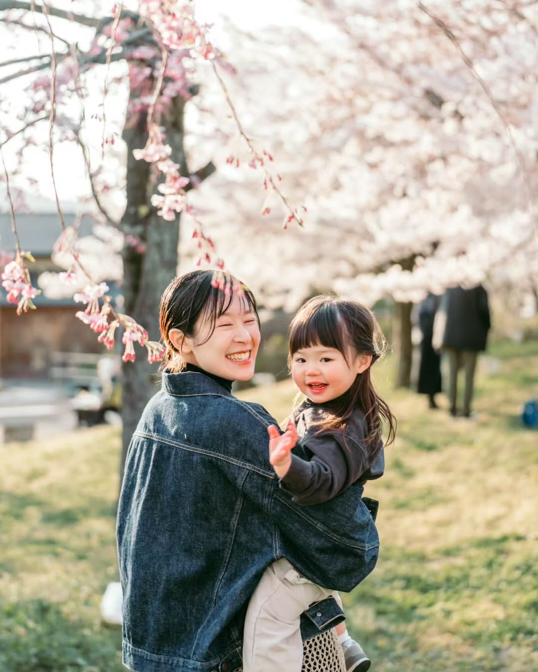 富山櫻花親子遊,Mori鏡頭下的溫馨時光