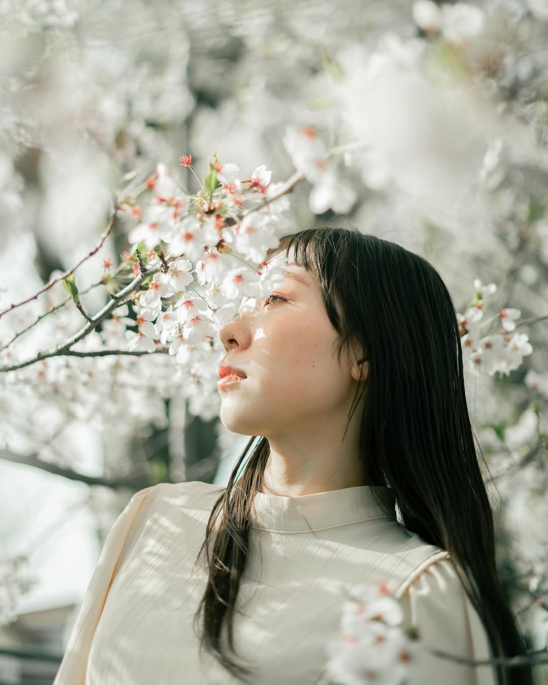 秋田單人獨遊,在 Kim 鏡頭下展現真我!