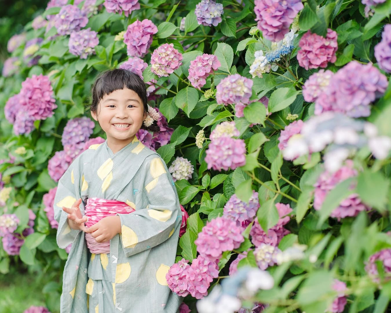 愛在奈良繡球花開時,Aiko親子攝影之旅