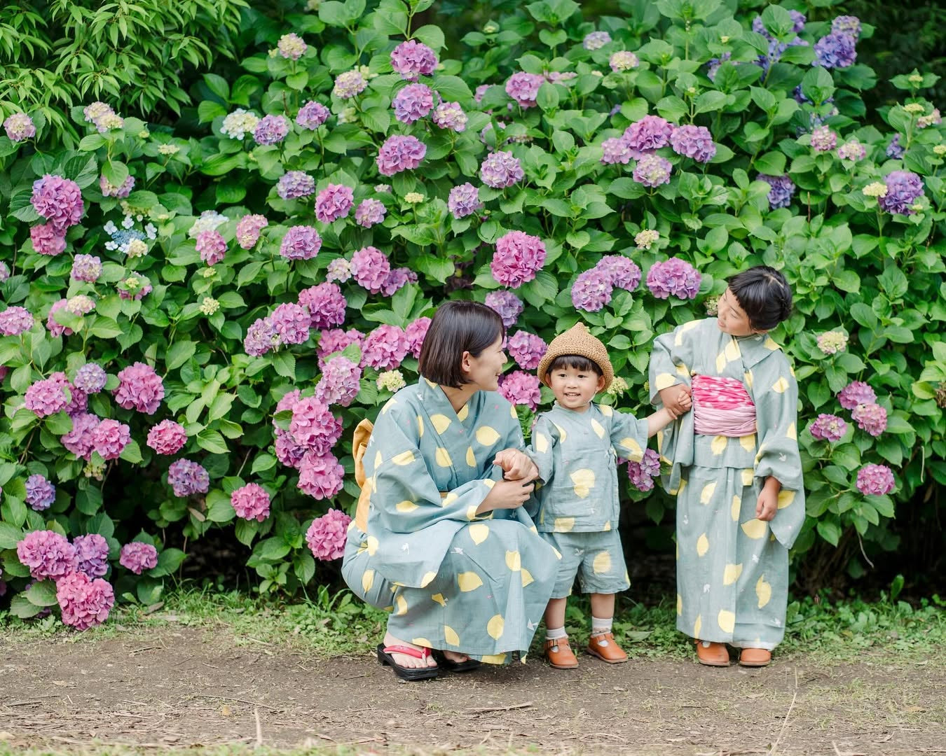 愛在奈良繡球花開時,Aiko親子攝影之旅