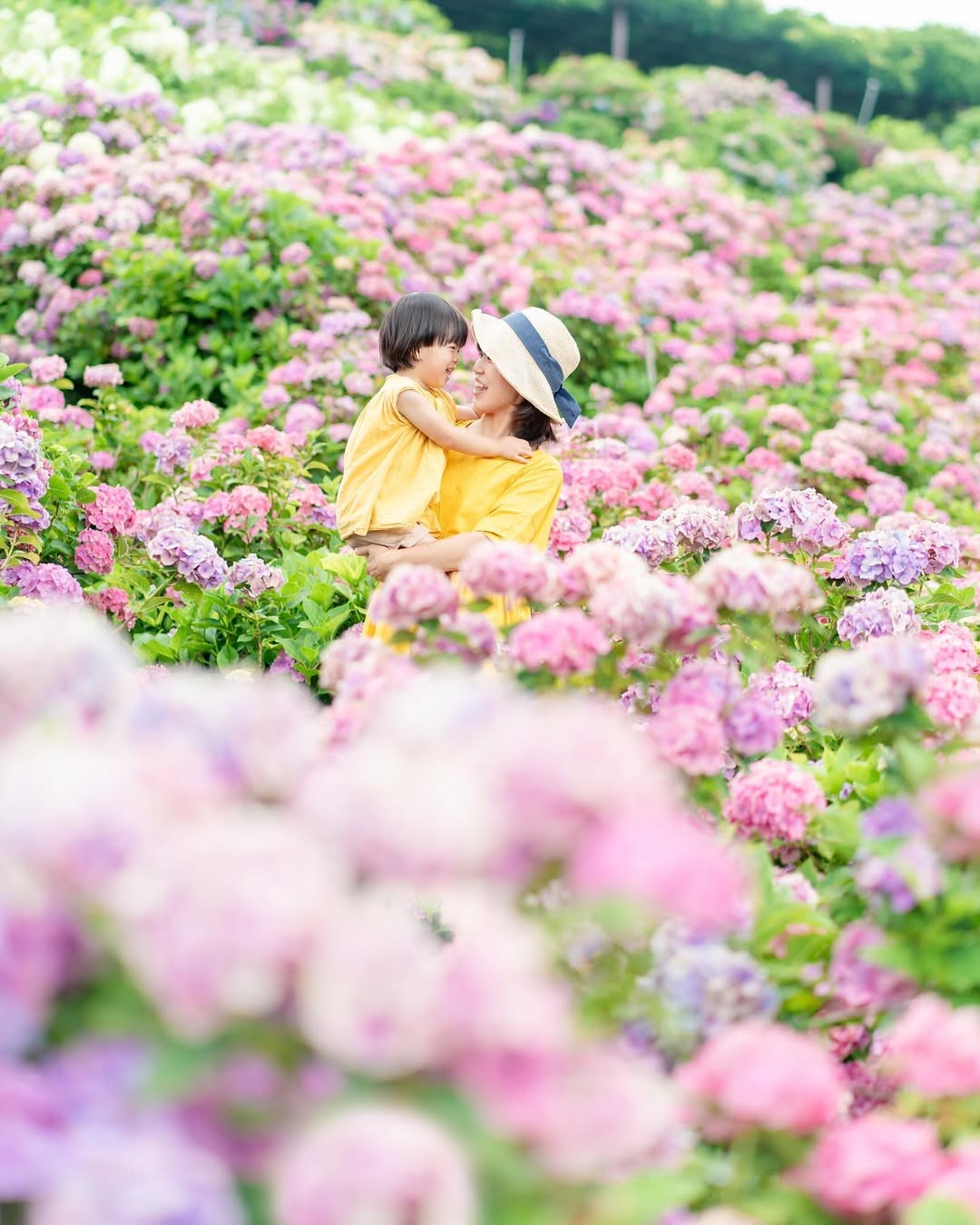 愛在奈良繡球花開時,Aiko親子攝影之旅