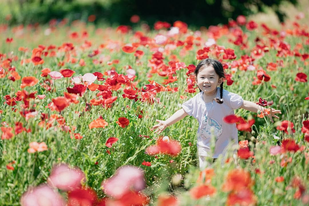 河口湖家庭故事:Shawn 的鏡頭讓幸福永恆