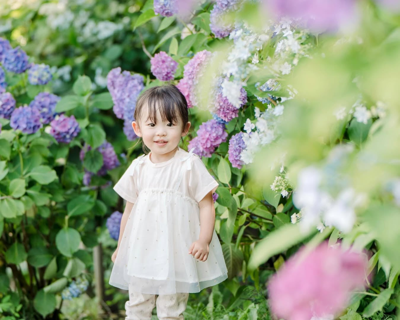 愛在奈良繡球花開時,Aiko親子攝影之旅