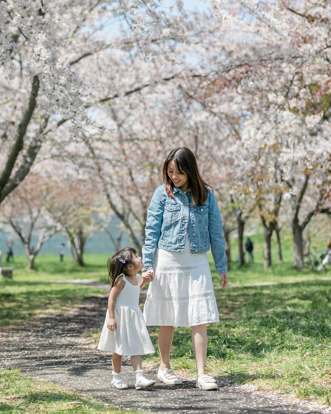 北海道札幌櫻花樹下的家庭時光:Yuko為你捕捉愛的瞬間