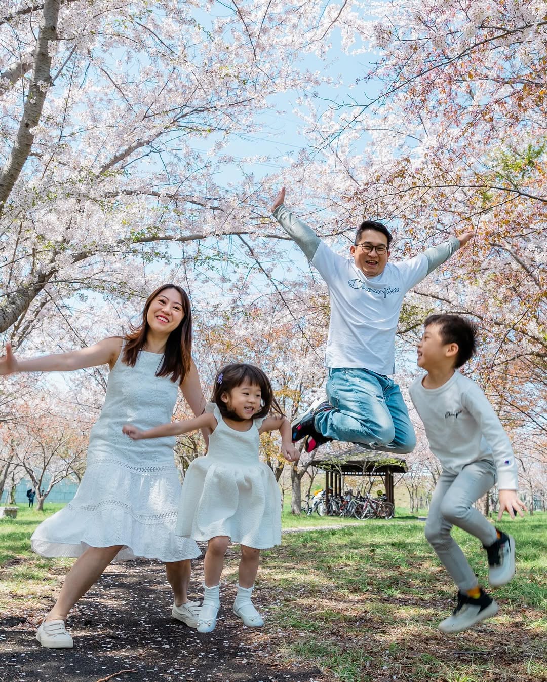 北海道札幌櫻花樹下的家庭時光:Yuko為你捕捉愛的瞬間