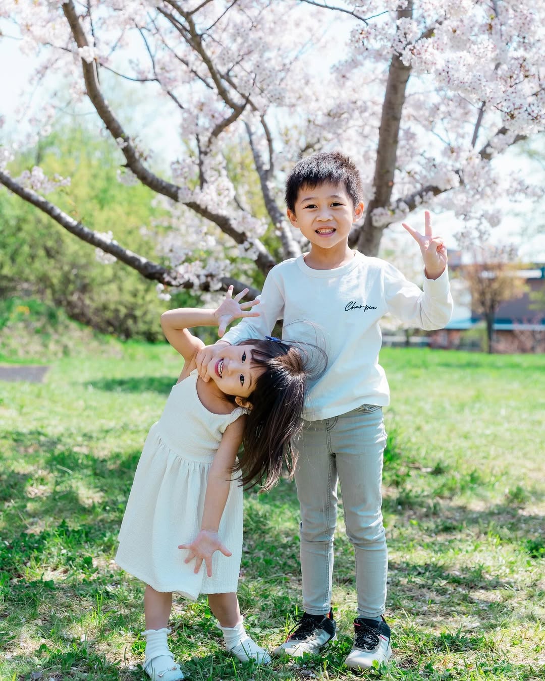 北海道札幌櫻花樹下的家庭時光:Yuko為你捕捉愛的瞬間