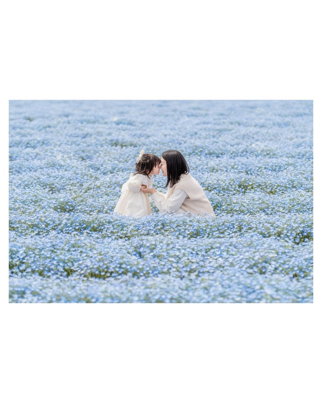 廣島粉蝶花語:Ericka家庭攝影之旅