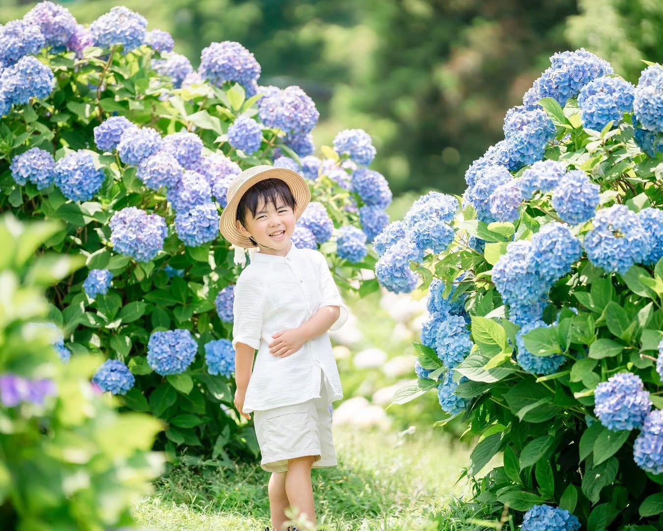 愛在奈良繡球花開時,Aiko親子攝影之旅