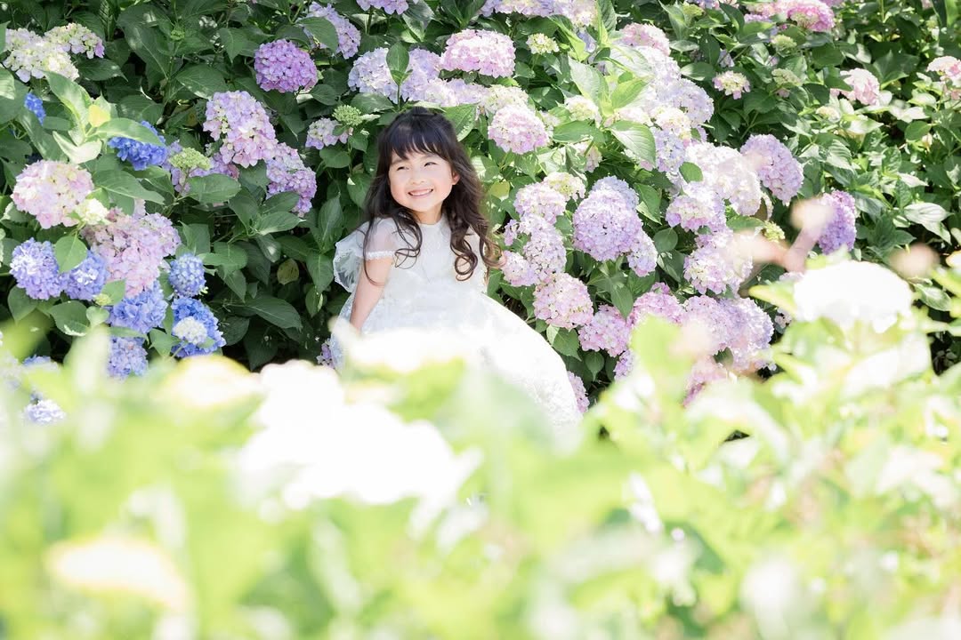 名古屋繡球花夢幻攝影:Akki打造你的童話故事