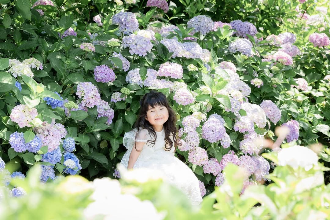名古屋繡球花夢幻攝影:Akki打造你的童話故事