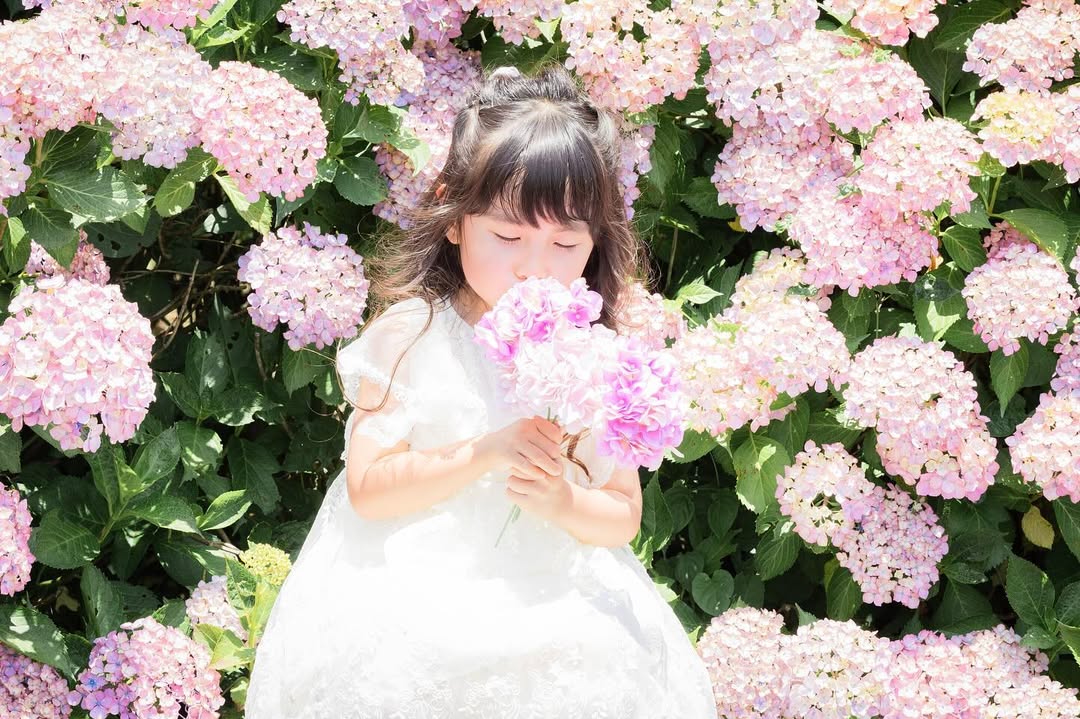 名古屋繡球花夢幻攝影:Akki打造你的童話故事