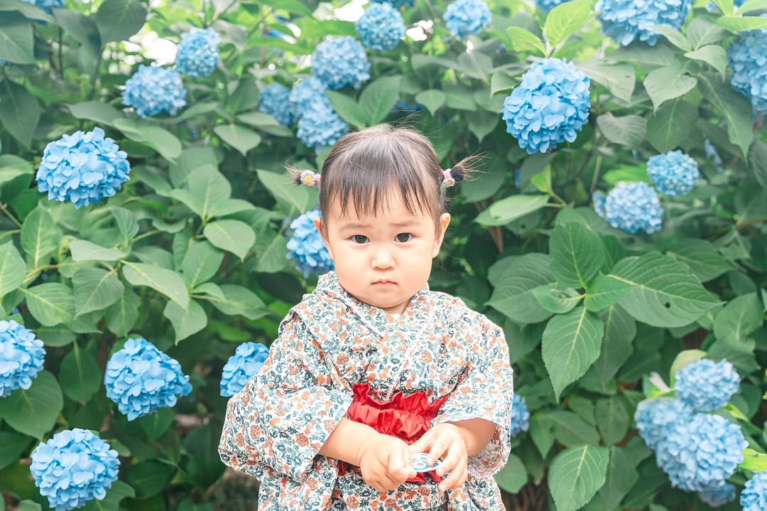 與Shi一起,在東京繡球花海留下珍貴親子回憶