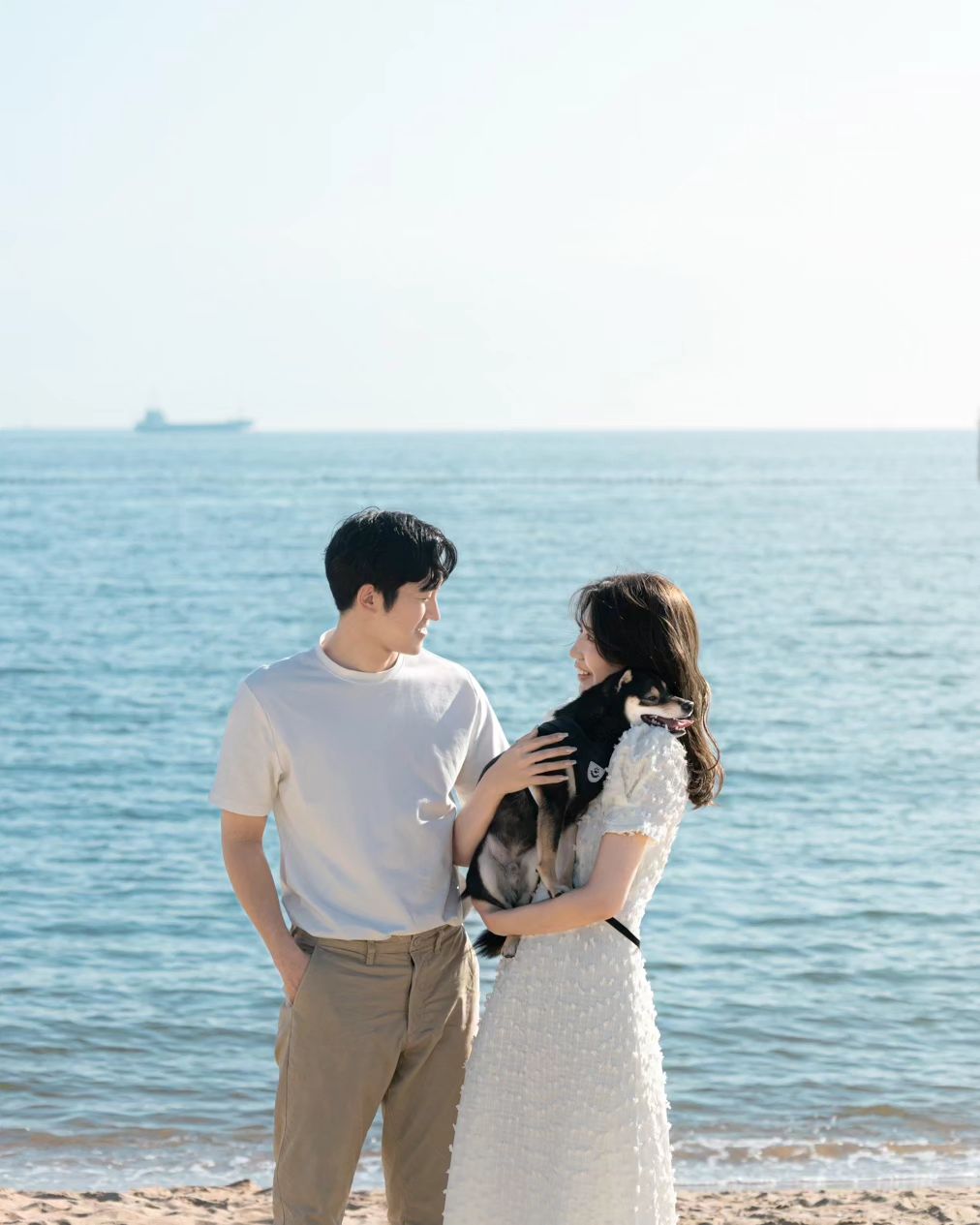 大阪寵物攝影:與Mayu共同捕捉家庭的美好瞬間