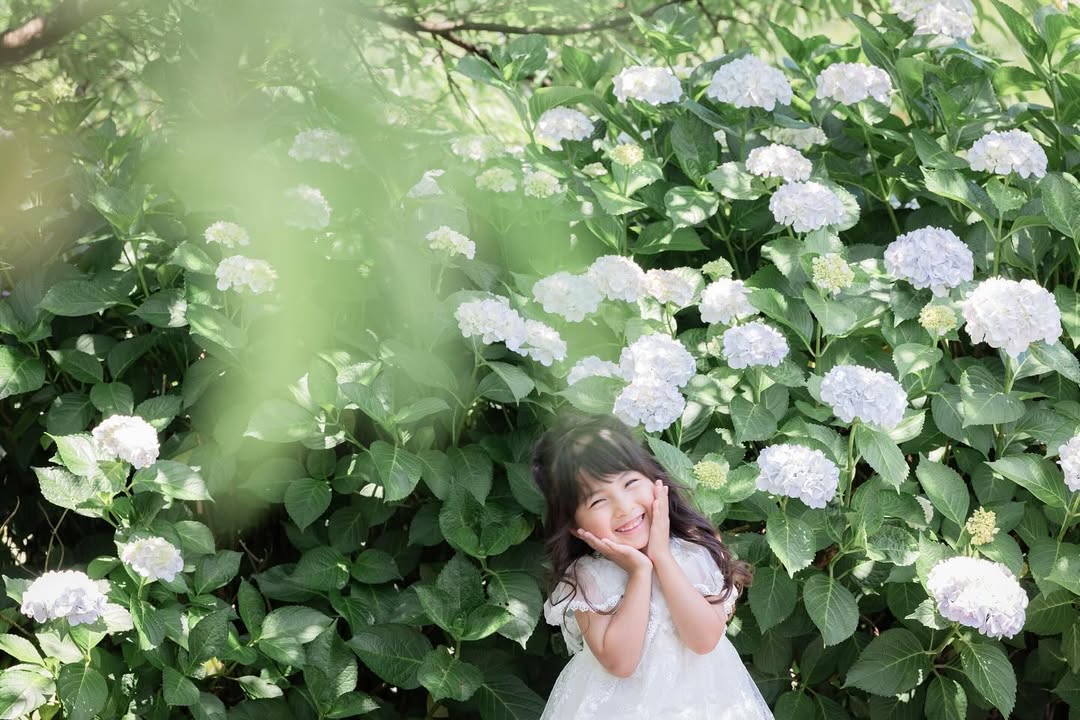 名古屋繡球花夢幻攝影:Akki打造你的童話故事