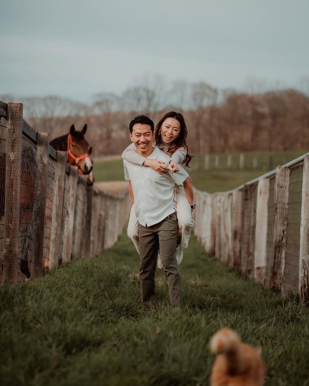 浪漫北海道:Hin 的獨家小馬農場兩小時愛情攝影體驗