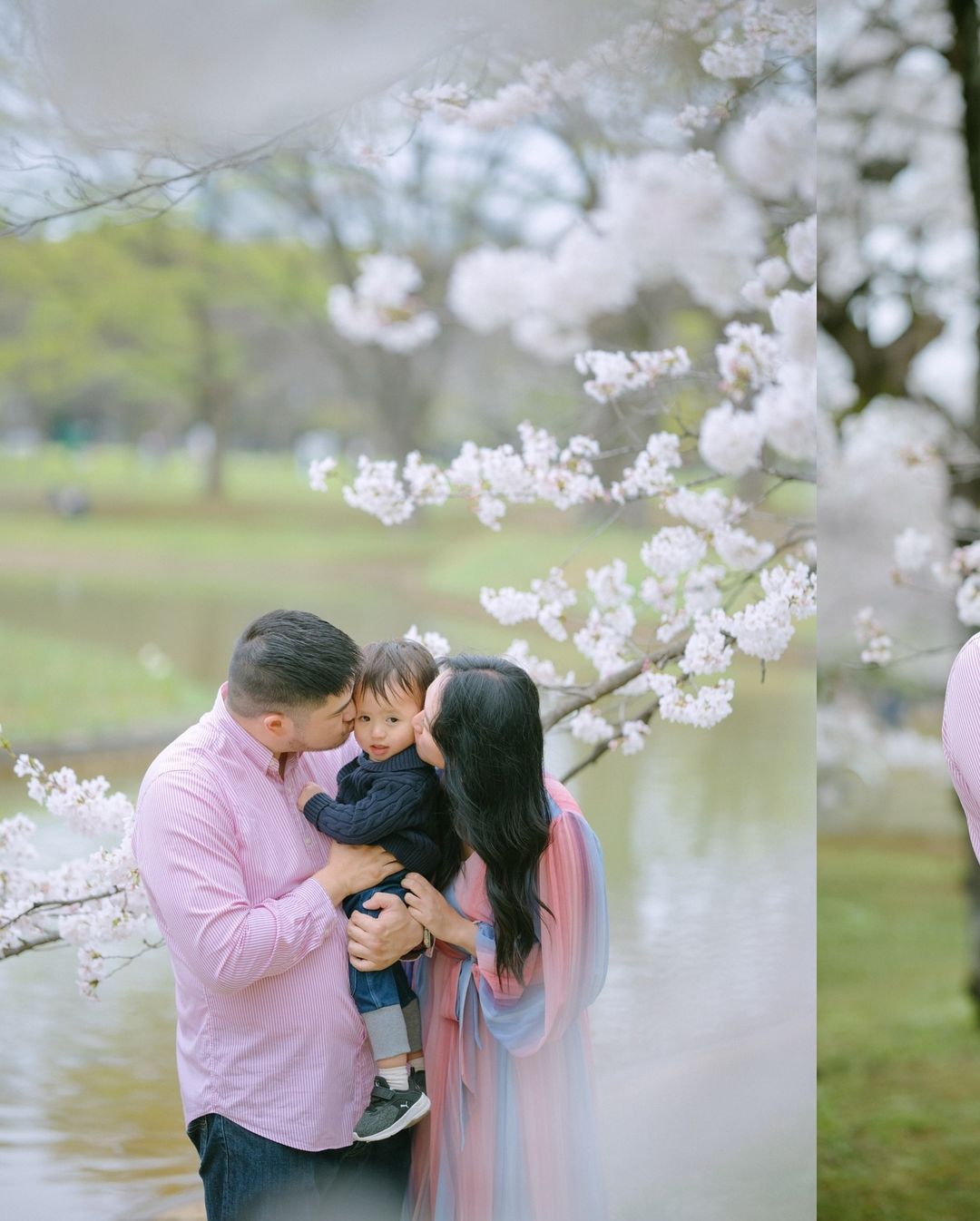 想留下最美的東京河津櫻家庭照?找Mimi就對了!