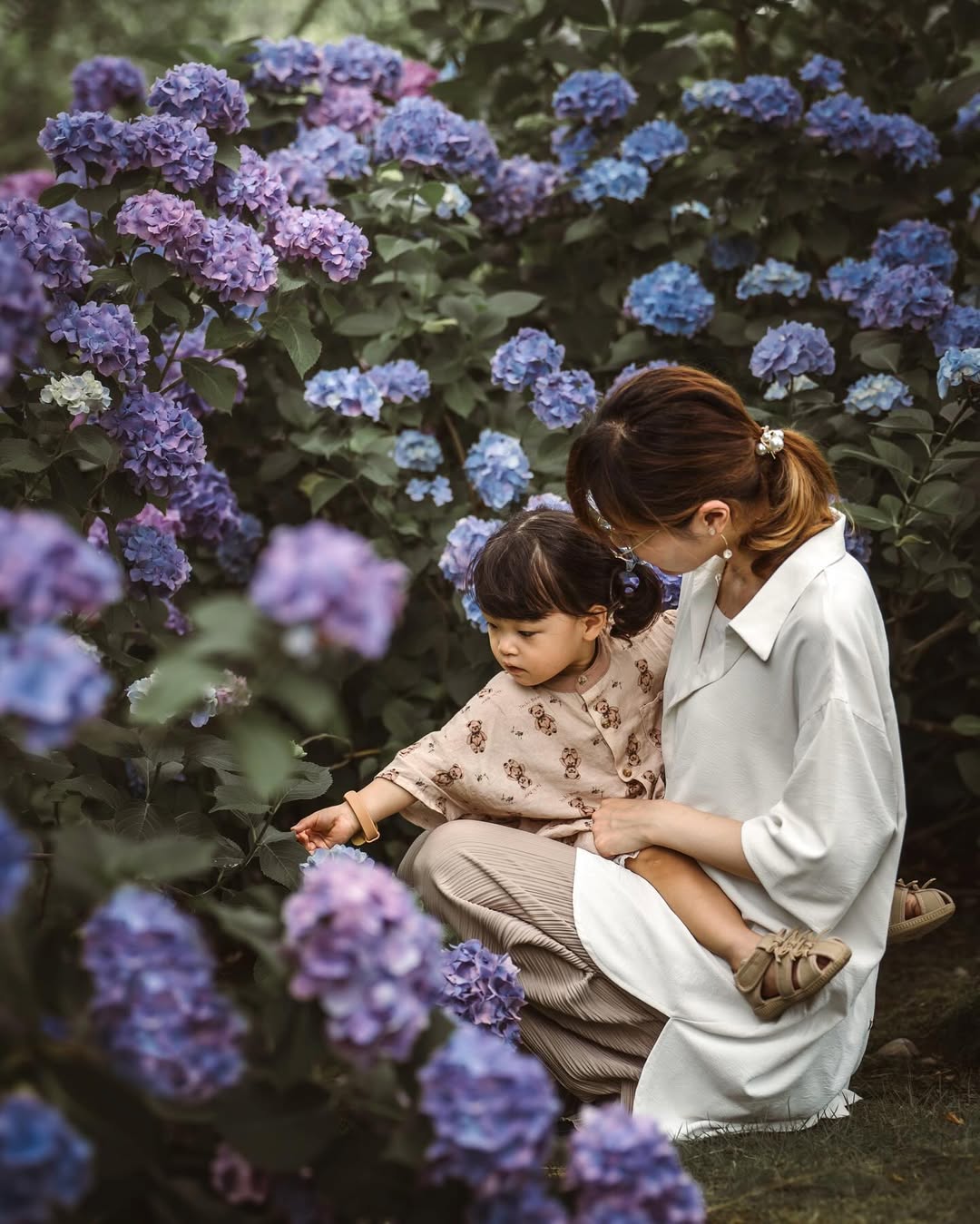 珍藏幸福瞬間:Tabby富山繡球花家庭攝影