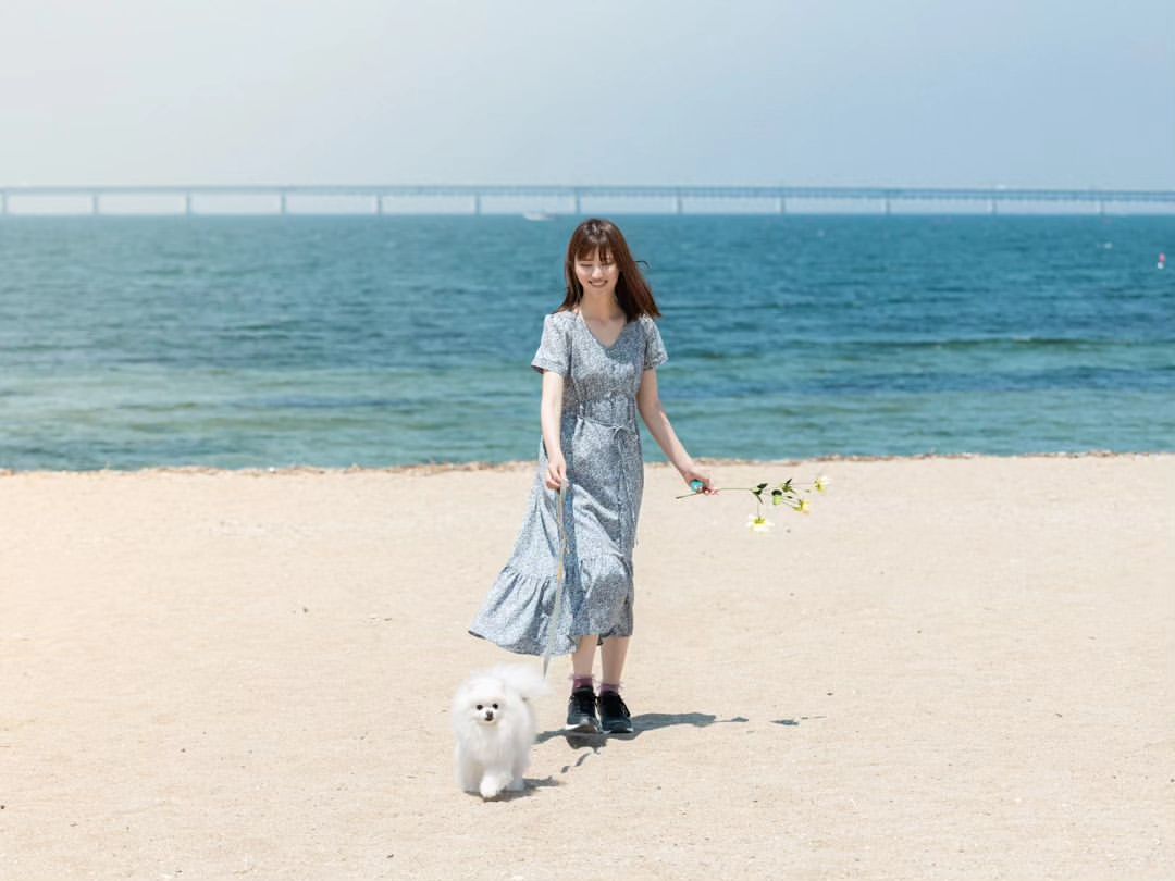 大阪寵物攝影:與Mayu共同捕捉家庭的美好瞬間