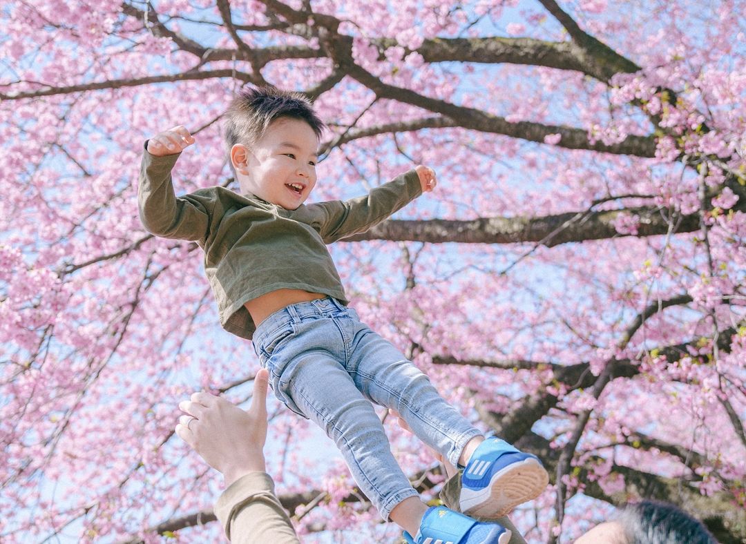 想留下最美的東京河津櫻家庭照?找Mimi就對了!