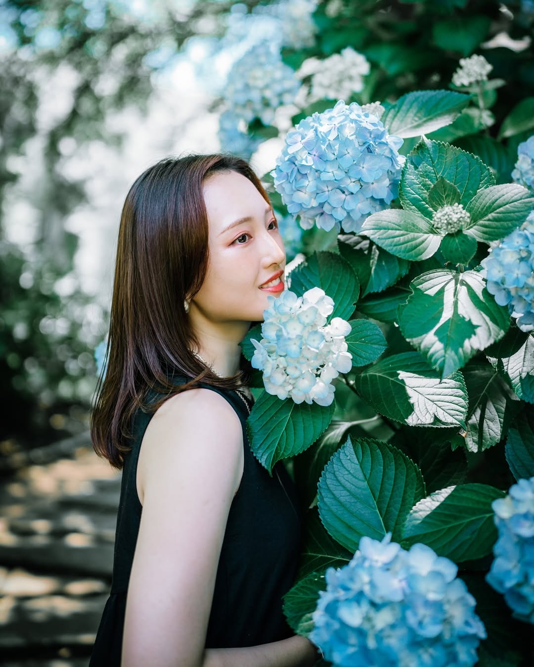 Oda鏡頭下的廣島繡球花季:捕捉你的獨特魅力