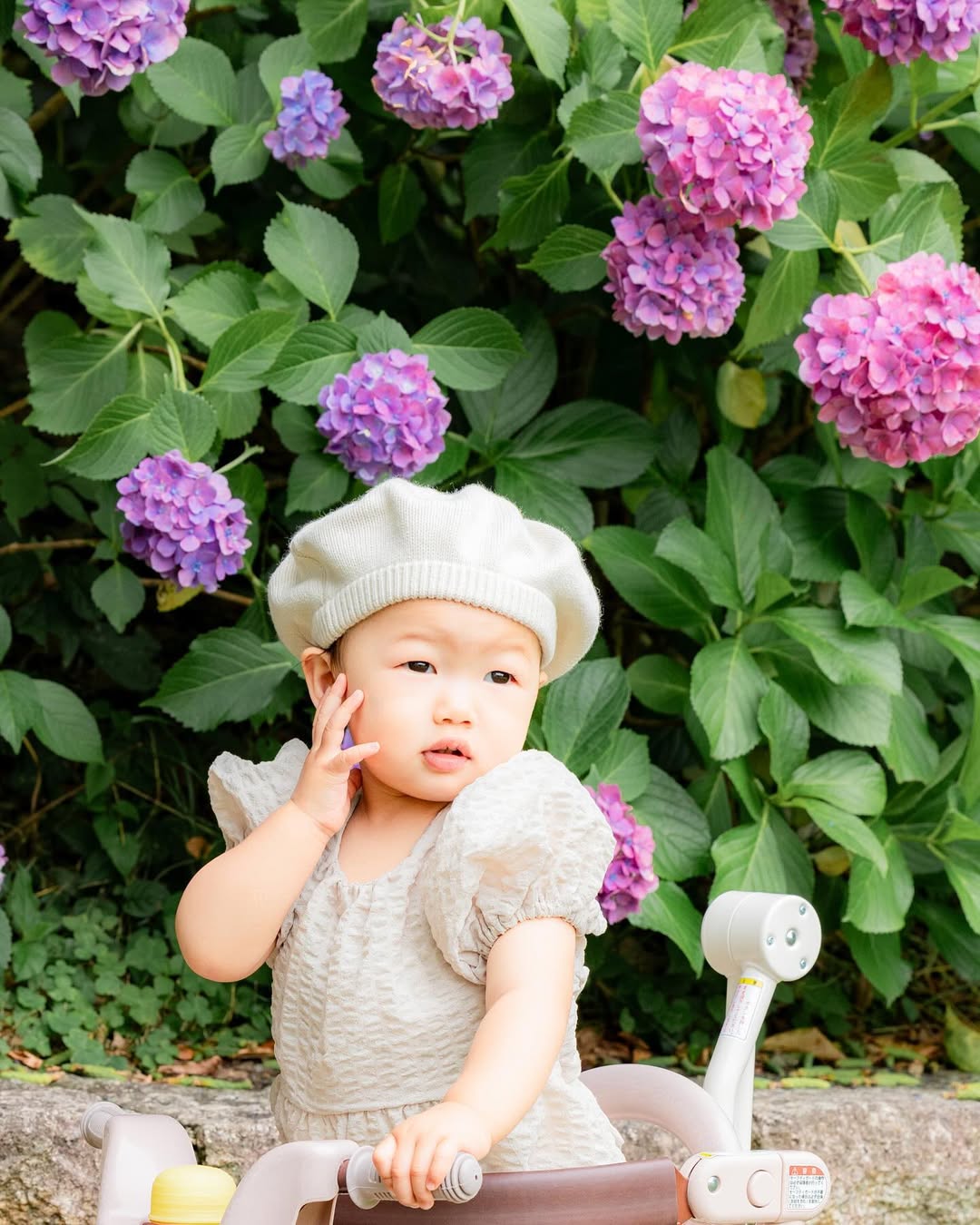 名古屋繡球花夢幻攝影:Akki打造你的童話故事