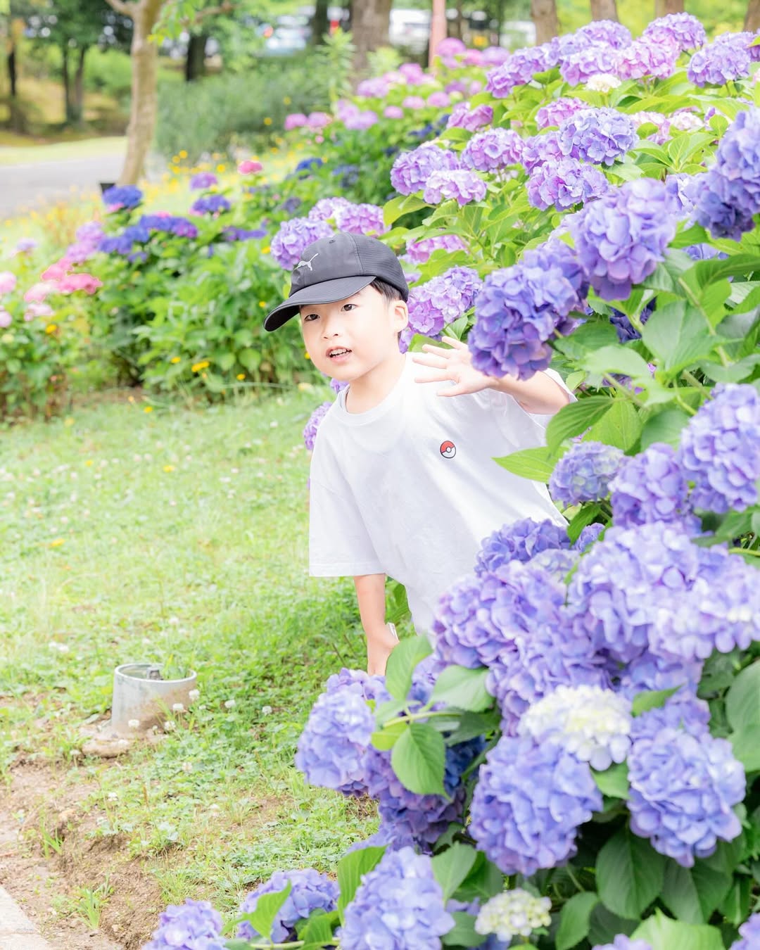 名古屋繡球花夢幻攝影:Akki打造你的童話故事