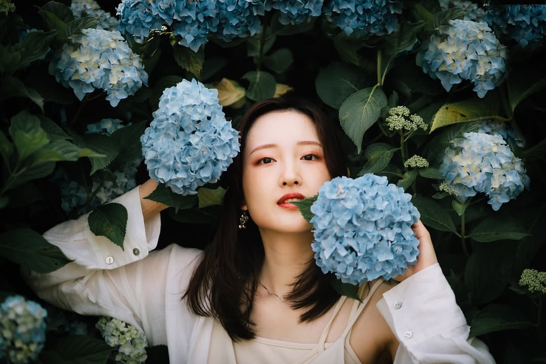 Oda鏡頭下的廣島繡球花季:捕捉你的獨特魅力