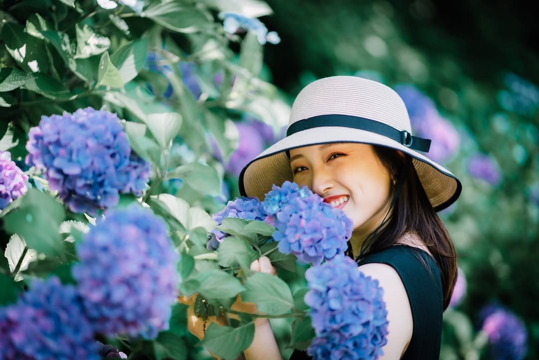 Oda鏡頭下的廣島繡球花季:捕捉你的獨特魅力