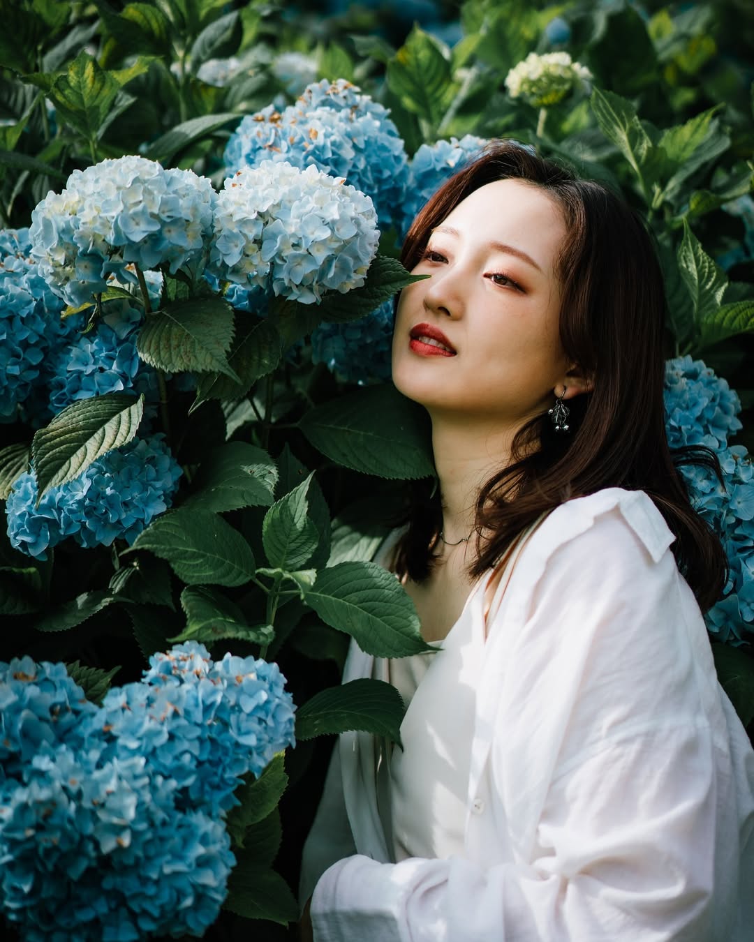 Oda鏡頭下的廣島繡球花季:捕捉你的獨特魅力