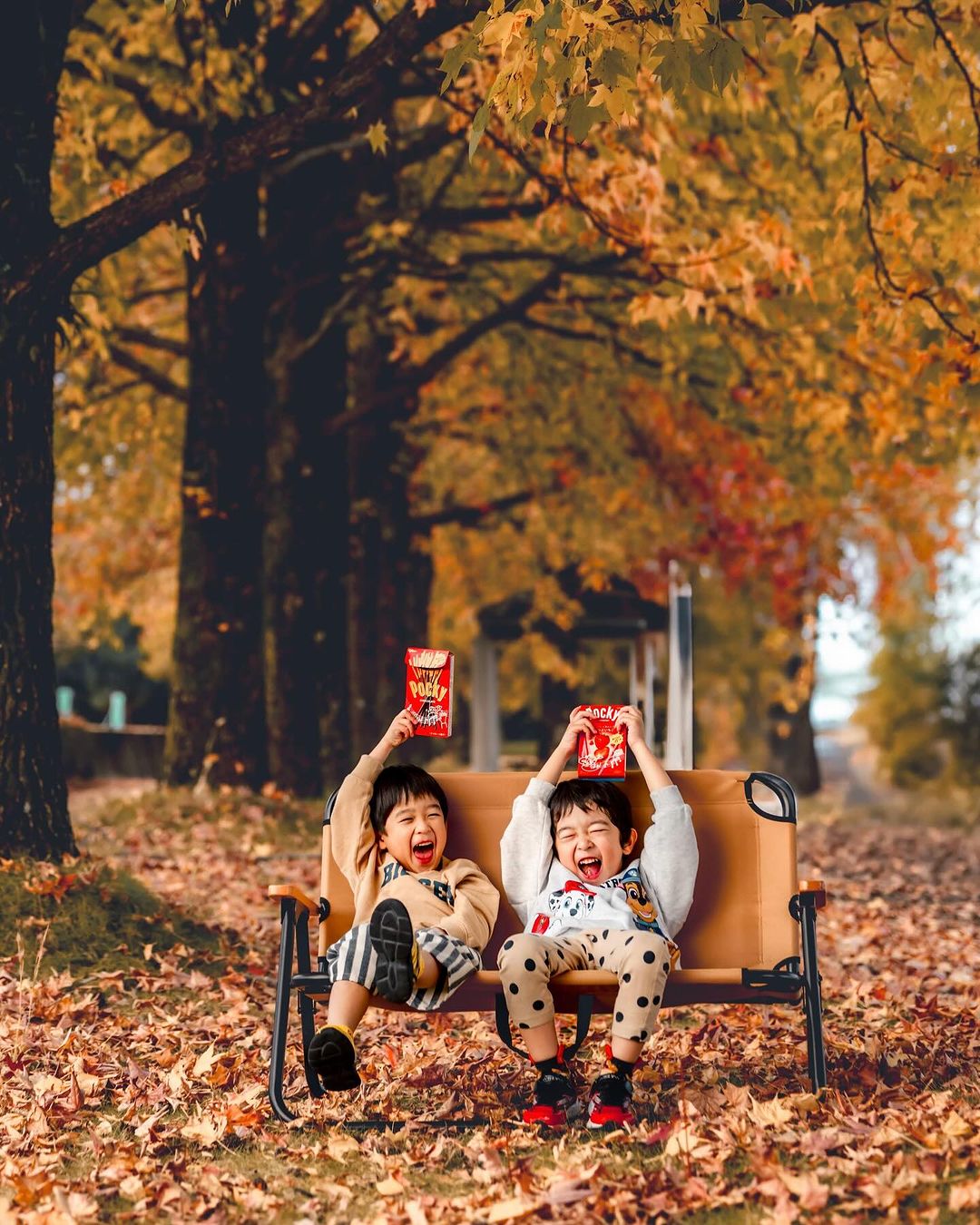 Masato 鏡頭下的富山:家庭溫情大冒險