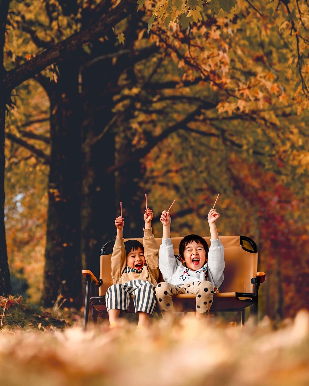 Masato 鏡頭下的富山:家庭溫情大冒險