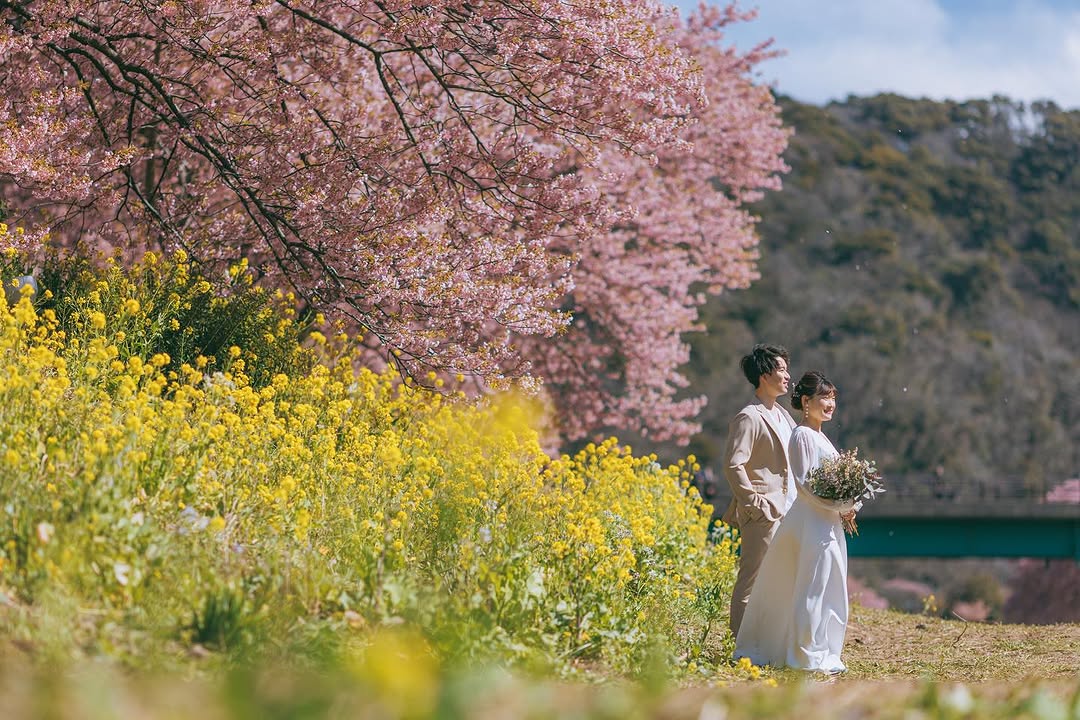 愛在伊豆櫻花季:Tokiya和你一起放閃
