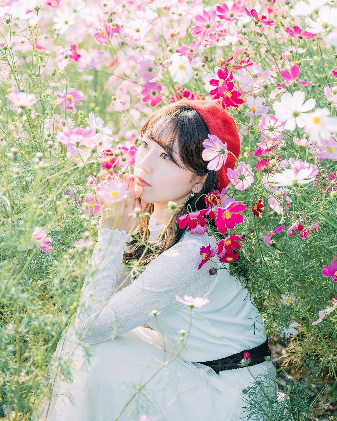 發現廣島之美:Dayo與你的攝影之旅