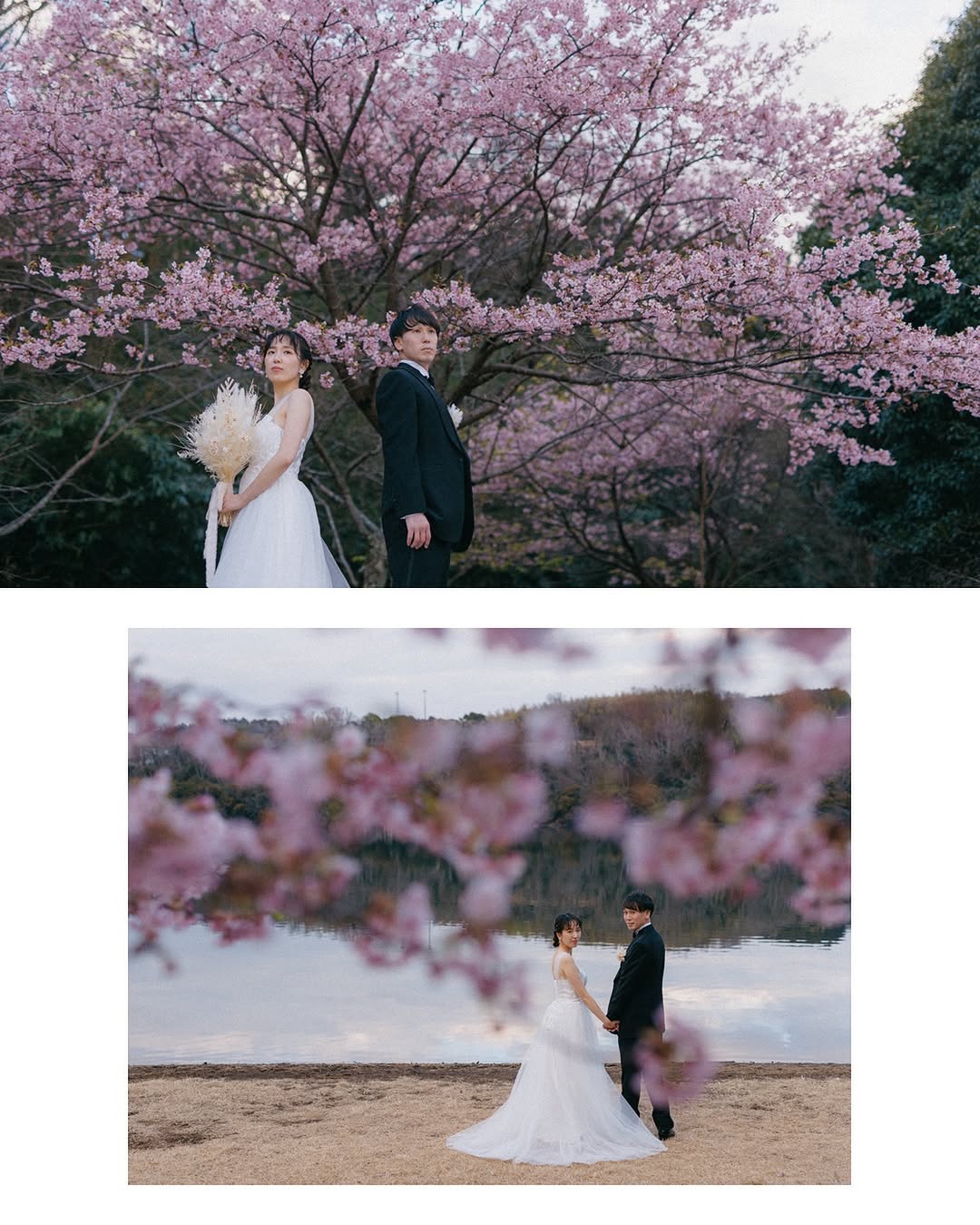 愛在伊豆櫻花季:Tokiya和你一起放閃