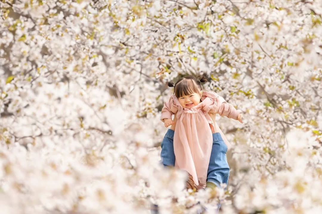 千歲櫻花季,和Toma一起拍全家福吧!