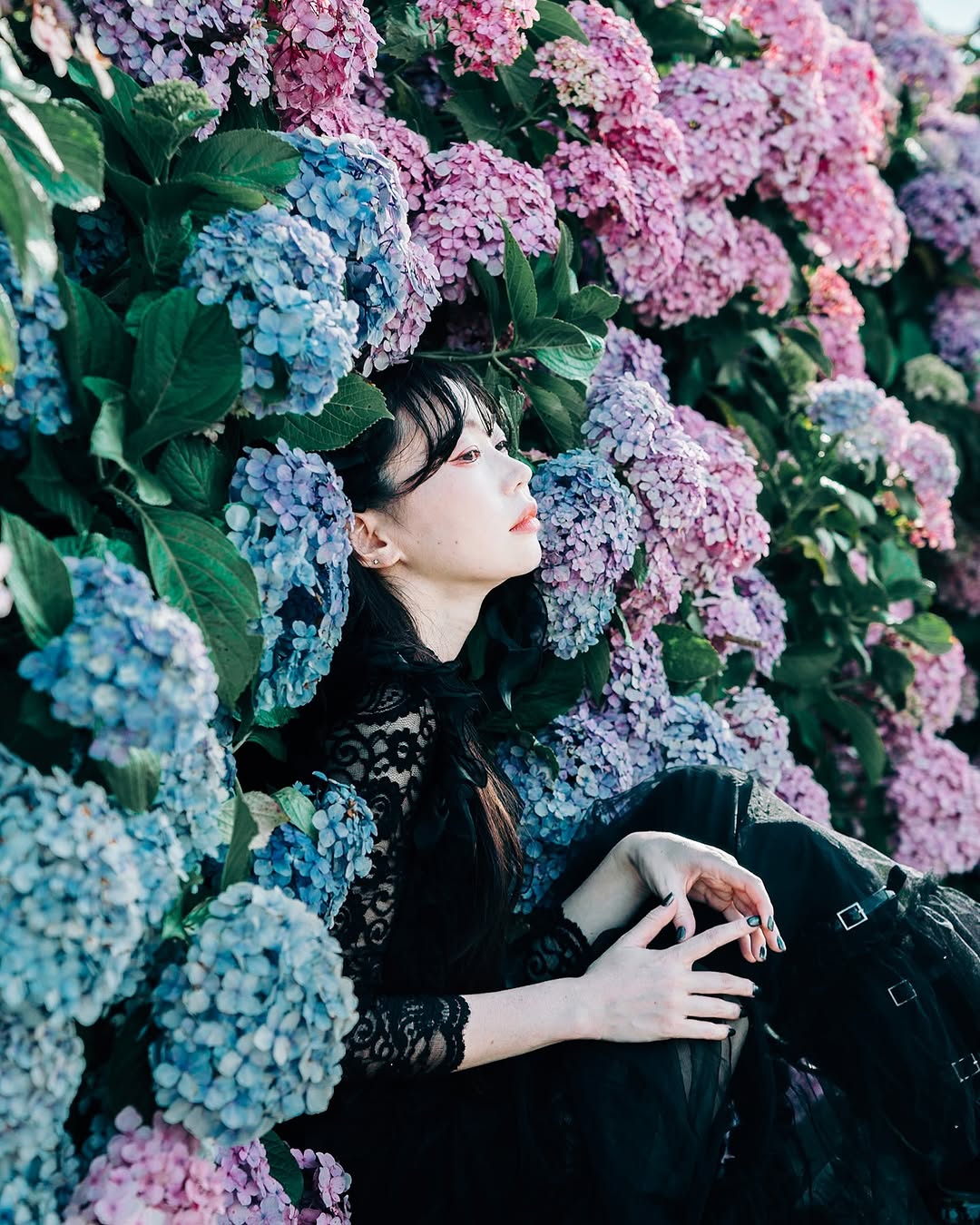 東京繡球花之旅:Kagura 個人寫真,珍藏你的美麗